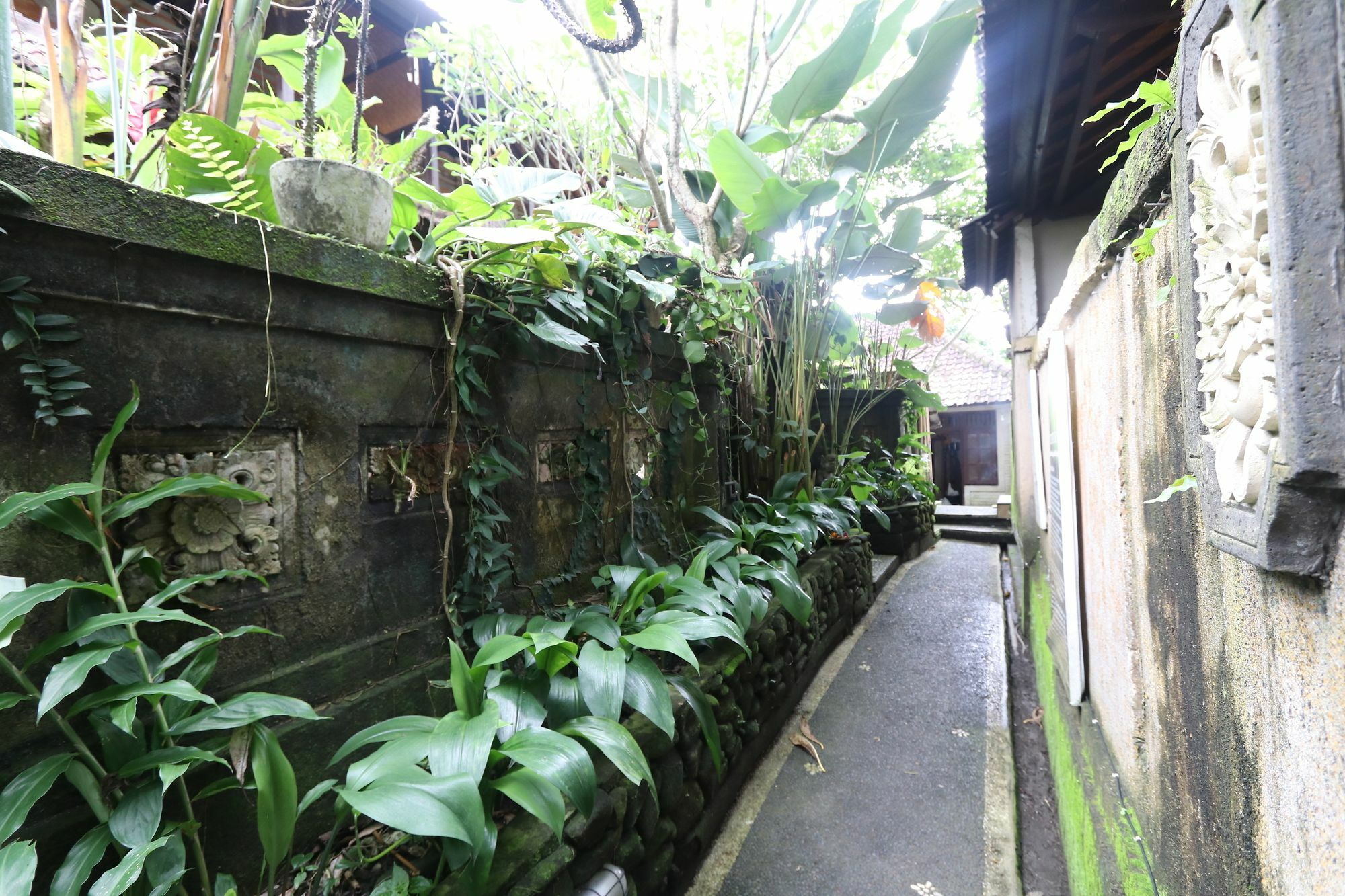 Pondok Permata Homestay Ubud  Luaran gambar