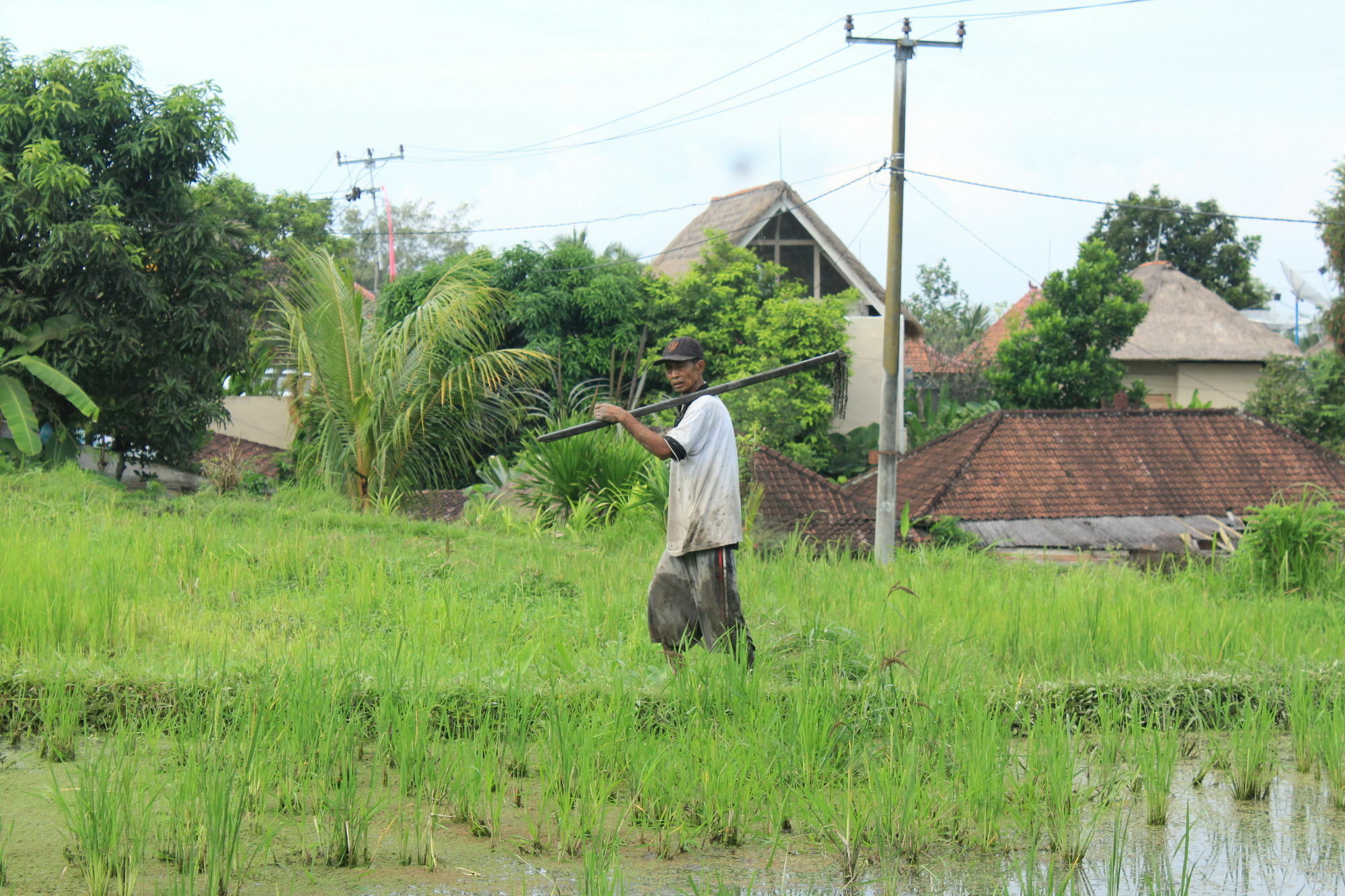 Pondok Permata Homestay Ubud  Luaran gambar