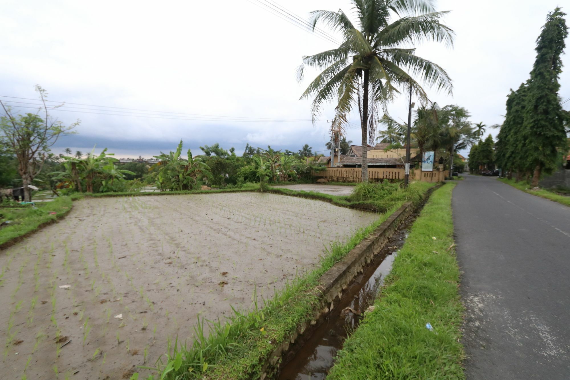Pondok Permata Homestay Ubud  Luaran gambar